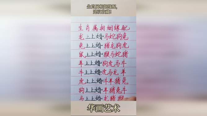 前世姻缘四八合是什么生肖_实证说明解读