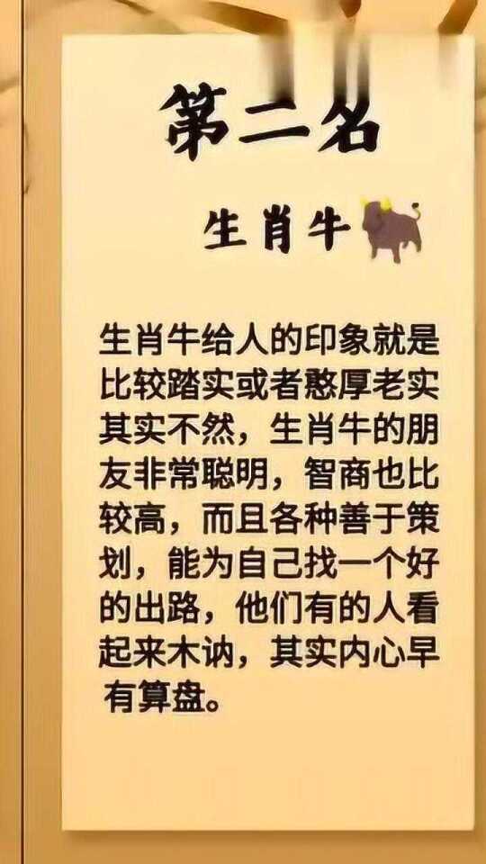 满腹经纶是什么生肖,投资分析解释落实