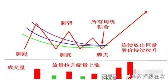 金鸡独立是什么生肖,深入分析定义策略