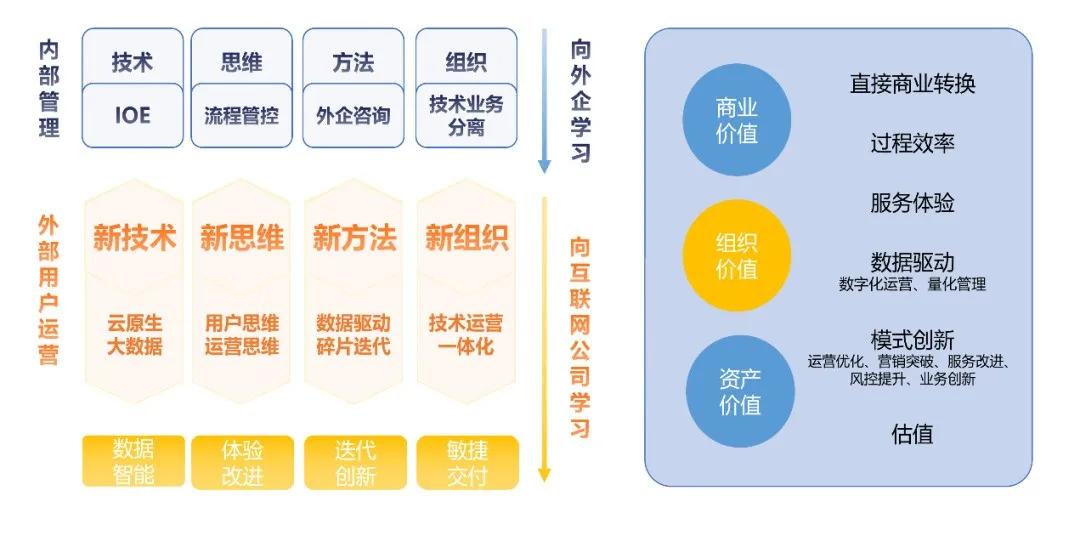 洋洋得意是什么生肖｜全面执行分析数据