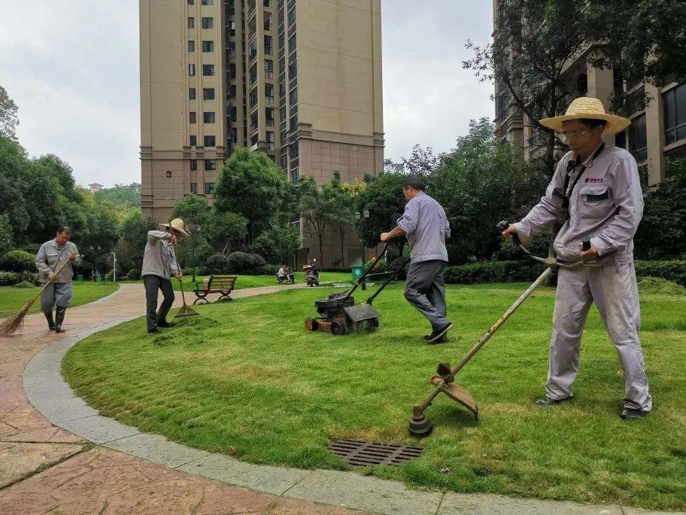 株洲经世龙城四期最新，株洲龙城四期最新动态