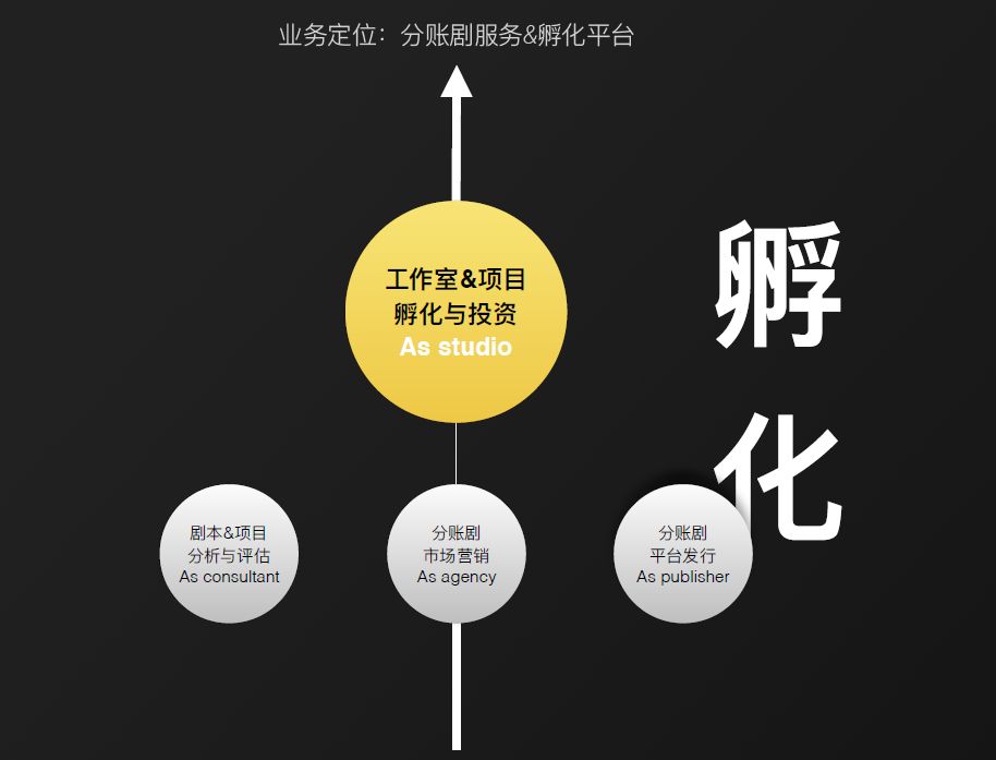 同盟最新剧情分析｜同盟剧情深度剖析