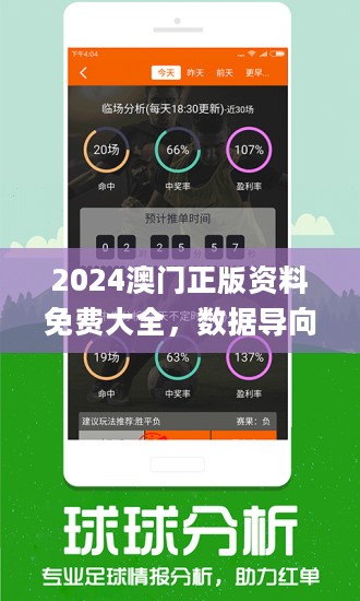 新澳2024今晚开奖资料,全面分析解释定义_多彩版O8.313