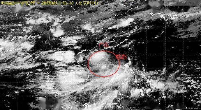 鹦鹉台风最新消息