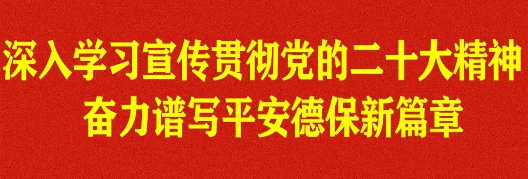 德保县城房产市场迎来新活力，房价展现上涨新篇章