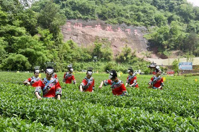 湖南省沅陵县喜讯连连，美好未来展望在即