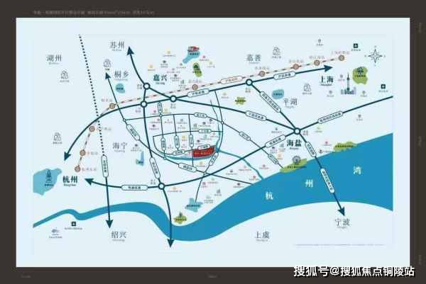 桂花鱼市场最新行情：价格波动趋势全面解析